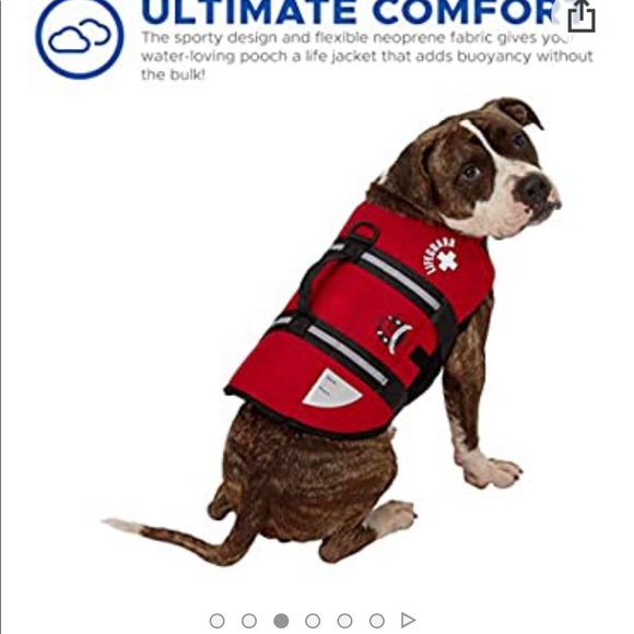Paws Aboard Dog Life Jacket Medium - Picture 2 of 11